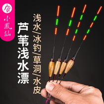 Small Fengxian reed bleached light water crucian carp drift for day and night Dual-purpose electronic luminous drift high sensitive ice fishing float
