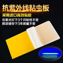 Sticky paper sticky mosquito repellent lamp special sticky fly board sticky mosquito paper anti mosquito fly Board restaurant insect bug lamp sticky fly paper
