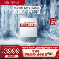 Boss Zero Cold Water Gas Water Heater 16 litres Natural Gas Home Electric Intelligent Constant Temperature Pressurization 620 Flagship
