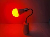 Indoor and outdoor mosquito repellent fly pest magic lamp Anti-mosquito repellent mosquito trap Garden atmosphere decoration bulb