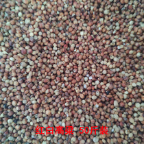 Pigeon grain red sorghum 50 catties