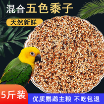 Parrot feed bird grain tiger skin peony Xuanfeng small and medium-sized parrot bird food five-color millet mixed grain millet 5kg