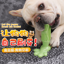 Dog toys molars bite-resistant teeth bite glue method fight kicky bib bear Schnauzer toothbrush brushing pet supplies