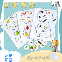 Kindergarten self-made teaching toys small and middle class science District corner materials put into animal and plant growth process early education