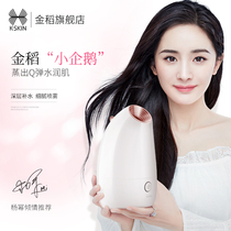 Golden rice steaming face device nano spray water refilling instrument hot spray steaming face device home facial beauty instrument steaming face sprayer