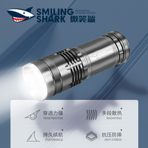 Fishing Light Night Fishing Light Bench Fishing Light Xenon Lamp Blue Light High Power Wild Fishing Raft Fishing Ultra Bright Bright Light Purple Light Flashlight