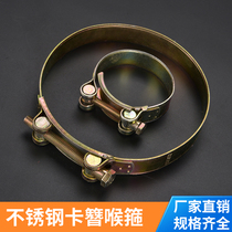 Agricultural strong European fixed joint Tiger double wire clamp Hose hoop thickened water pipe Plastic coated water belt special