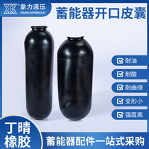 Toyo Lijin die casting machine accumulator nitrogen capsule 10L 20L 30L 40L 60L large open skin capsule