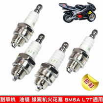 49CC mini motorcycle chain saw lawn mowing hedge turf brush brush cutter two-stroke BM6A L7T spark plug