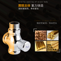 Flush valve squatting stool valve hand-pressed flushing toilet valve type full copper body delay type urine self-closing pool