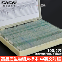 Biological microscope accessories Observation specimen slice set Animal plant cell slide Experimental Child student