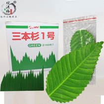 Japanese cuisine plate sushi decorative leaves creative salmon sashimi platter embellishment simulation mountain-shaped rubber green leaves