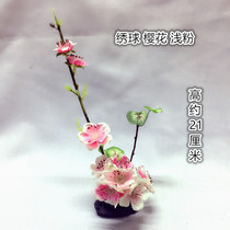 Hotel creative dishes cold dishes dishes dishes artistic conception sassy decoration flowers and plants plate decorations