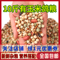 10 catties of pigeon grain with corn pigeons nutrient material bird food pigeons young pigeons ornamental pigeons feed pigeons with corn
