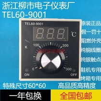 Zhejiang Liushi Electronic Instrument Factory Shoe Machine Temperature Control TEL60-9001 Oven Special Instrument TEL60-8001