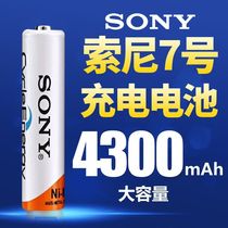 SONY rechargeable battery No. 5 large capacity 1 2VKTV microphone microphone toy No. 7 remote control rechargeable battery