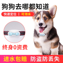 Dog locator gps pet collar anti-lost tracking artifact cat tracking booking cattle and sheep fixed instrument follower