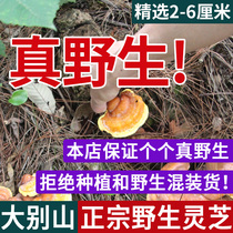 Dabie Mountain pure wild Ganoderma lucidum Ganoderma lucidum dry goods whole branch slices purple Linzhi flat cover wine tea Super 250g