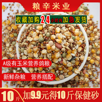 10kg of corn pigeon food flying nutrition feed bird food pigeon ornamental pigeon meat pigeon food