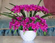 Simulation Flowers Fragrance Snowlan Fake Flower Decoration Silk Flower Suit Indoor Placement Floral Home Hotel Furnishing and Furnishing Pendulum