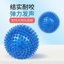 Ite dog toys vocal Barb large dog golden hair resistant to bite teeth puppies Teddy VIP dog bite glue pet
