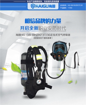 Haigu RHZKF3T 30 positive pressure air respirator (equipped with 800t communication mask)