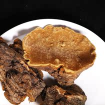 Tibet straight hair] Tibet wild Phellinus wild Phellinus Wang Ganoderma lucidum Autonomous Region whole wild Phellinus