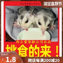 Ximo brand honey glider food main food staple food Adult honey food HPW BML Australian main material International standard food