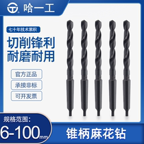 Ha one work Harbin cone handle twist drill bit HSS high-speed steel bench drill lathe white steel rocker drill 31-100