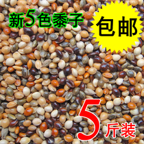 New high-quality five-color millet parrot feed bird food with Shell millet tiger skin peony peony Xuanfeng bird grain 5kg