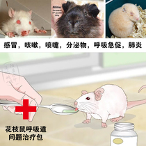 Flower-branch rat respiratory tract infection Golden Bear hamster cold guinea pig pneumonia nose secretion asthma shortness of breath