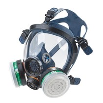 Anti-gas and chemical full mask spray paint anti-formaldehyde anti-pesticide gas mask anti-ammonia mask