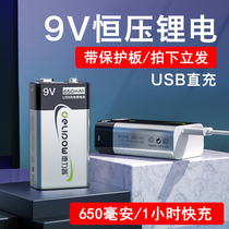 Delip 9V rechargeable battery multimeter 6f22 block battery charger can quickly charge nine volt usb lithium battery