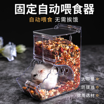 Hamster Automatic Feeder Drinker Gold Silk Bear Eat Grain Box Guinea Pig Fed Special Food Basin Dragon Cat Supplies