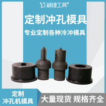 Custom-made various punching machine dies punches various hydraulic punching machines various mold punching needles