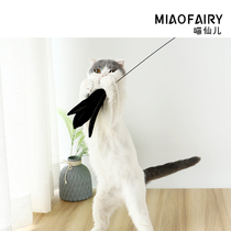Cat Toys Cat Toys Cat Toys Cat Toys Cat Toys Cat Toys Cat Toys Cat Toys Cat Toys Cat Toys Cat Toys Cat Toys Cat Toys Cat Toys Cat Toys Cat Toys Cat Toys Cat Toys Cat Toys Cat Toys Cat Toys Cat Toys Cat Toys Cat Toys Cat Toys Cat Toys
