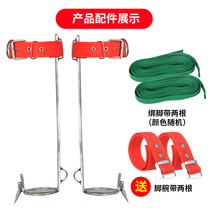 Upright stainless steel tree climbing artifact big turn upright tree upper tool foot buckle non-slip foot buckle foot tie iron shoes