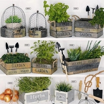 Wooden pot solitary collection-ZAKKA retro Garden Farm decoration utensils fleshy planting flower pot basket