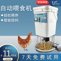 Automatic feeding machine pigeon carrier equipment supplies chicken and duck with electric feeder timing slot artifact