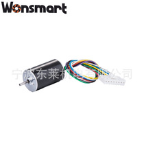 Factory supply DC brushless micro 24v fan motor High Speed motor suitable for advertising light box massage bed