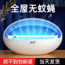 Mosquito killer lamps restaurants hotel use wall-mounted sticky flies commercial mosquito killer artifact