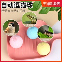 Cat boredom artifact Cat play toys Automatic cat self-high ball Cat ball small ball Kitten smart ball supplies