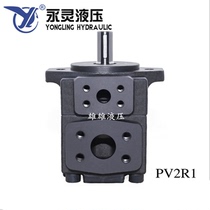 Zhejiang Xianju YLC Yongling PV2R3-94-F1 PV2R3-52 60 66 76 116 125 136RAF1