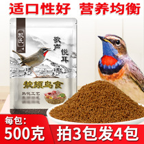 Red Indigo chin bird food blue point chin bird feed Acacia bird food feed red blue light indigo chin bird food red point chin bird food