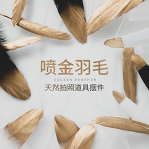 Golden feather ins Wind Net red photo photo props background decoration decoration creative decoration photography props cosmetics food anchor live match