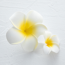 Size 2 Chicken Egg Flowers Photo Props Head Accessories Head Floral Ornament Shooting Props Swing Piece Decoration Background Beach Style Small Swing Piece Gourmet Baking Medecor Jewellery Photo Decorations