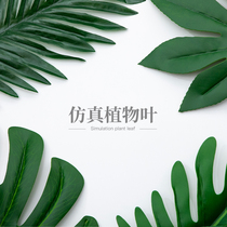 Simulation Leaves Dryflower Plant Static Photography Props Green Leaf Background Naughty Pins Nordic Minimalist Style Shooting Photography Creative Pendulum Swatter Mesh Red Straight Podcast Room Clog View