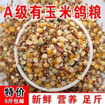 Pigeon food grade a corn pigeon material nutrition material bird food pigeon young pigeon watching pigeon feed pigeon material corn