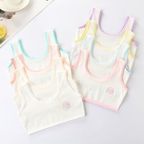 Developmental girl small vest cotton female child girl underwear 6-8-10-12-year-old primary school students smear chest anti-bump