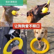 Dog toy ball bite-resistant molars medium and large dog horse dog Labrador dog training supplies boring artifact
